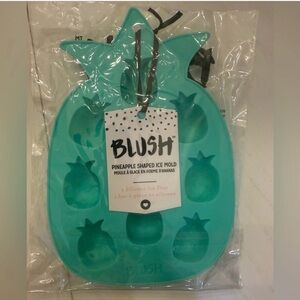Blush Teal Pineapple Ice Tray